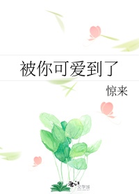 和儿子爱了不知道该怎么办