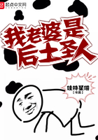 翻译官在线观看免费