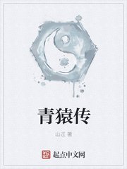 他的心头宝小说