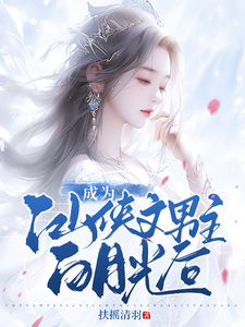 流氓高手txt