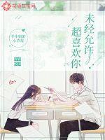 男插女视频