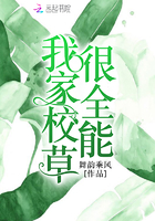 全职法师h文