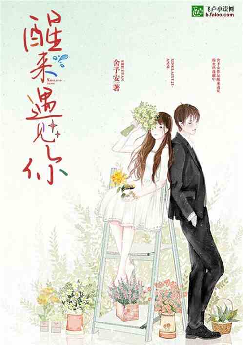 我的老婆冰山总裁沈浪