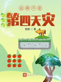 重生之毒妃安锦绣