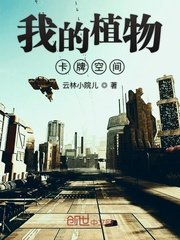 娇妻出轨日记黄杨