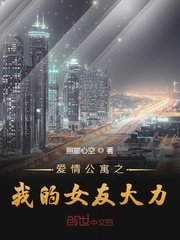 苏菲赵东来小说苏菲正版