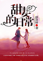 红楼梦h版