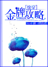 侠岚5