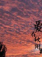九歌电影