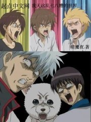 旧版上海滩免费观看