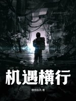 追风筝的人txt下载