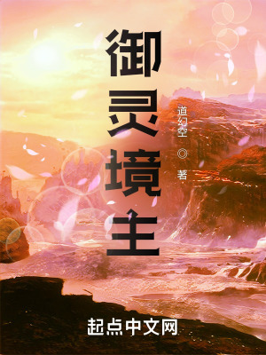 银帕车