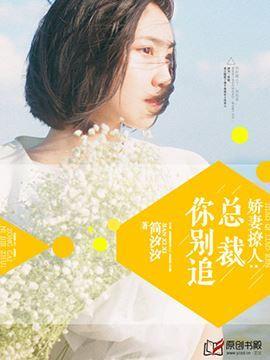 敌后便衣队