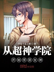 东野圭吾小说