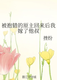 班主任金洁第二部系列