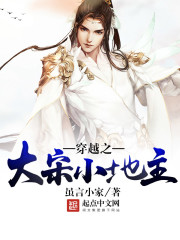 二次元足控