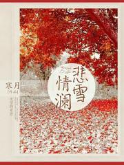 初夏贺北溟免费无弹窗小说