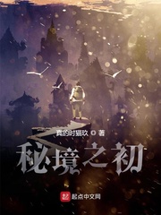 重生之官场风流