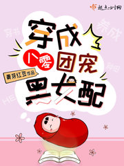 第九个寡妇小说