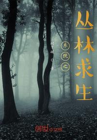 大西瓜pro视频永久地址v1