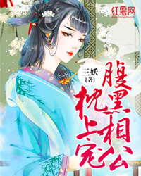 成化十四年电视剧