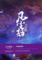 只因我们天生一对小说