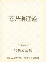 无限局中局