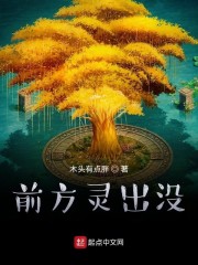 守望先锋归来