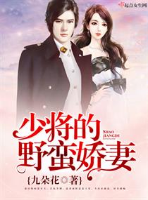 征服四部曲陈玉滢陈艳