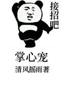 小说警花叶柔全文阅读