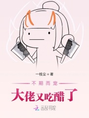 风流岳母小说