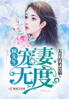 刘猛小说