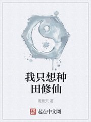 人气小说