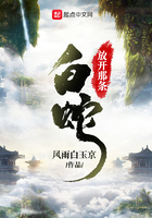 成年在视频观看插件