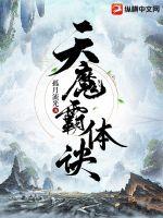 康德第一保镖传奇电视剧全集