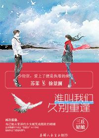 楚汉传奇免费看