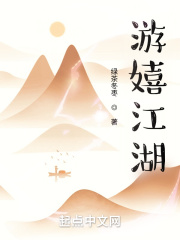 电视剧冰锋