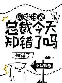 全集观看连续剧延禧攻略