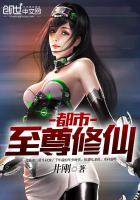 一片冰心在玉壶小说