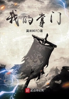 冷少的替身罪妻