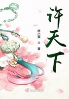 仿石砖