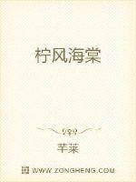 扫黑风暴免费完整版