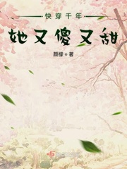 午夜偷香免费阅读