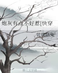屠夫网电影手机版
