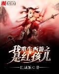 一夜残欢小说