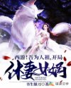 扶摇夫人烫核小说