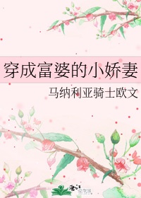 赖文峰现任妻子