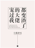 新金瓶梅杨思敏