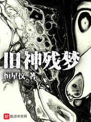 信长之野望13威力加强版