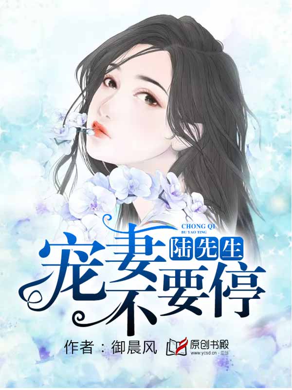 老司机tv